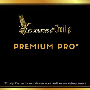 Forfait Premium  Pro *