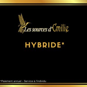 Forfait Hybride *