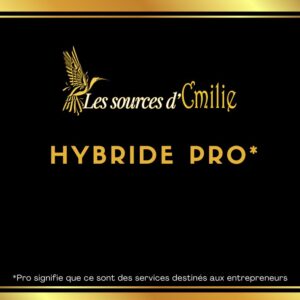 Forfait Hybride pro *