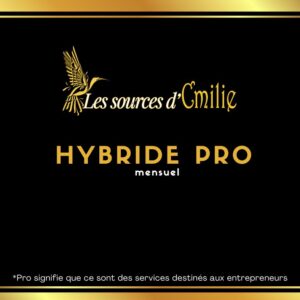 Forfait Hybride pro