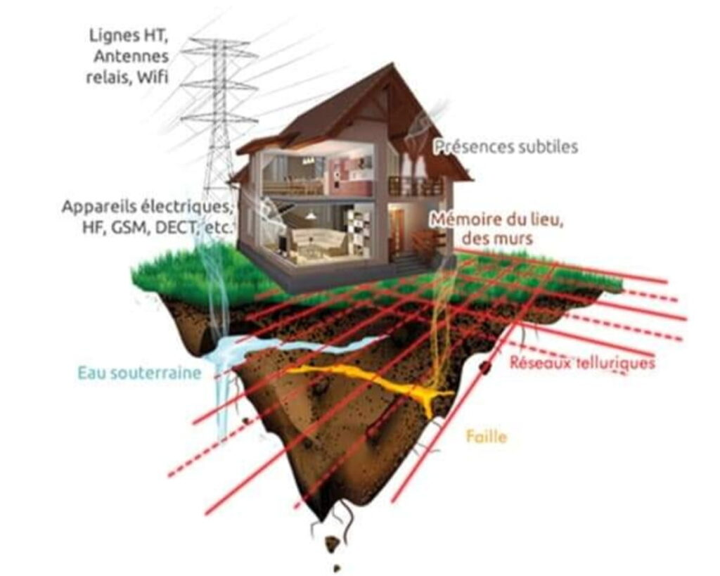 Image de couverture de la liste