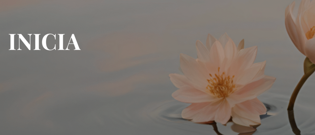 Image de couverture de la liste